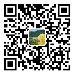 易直播官网